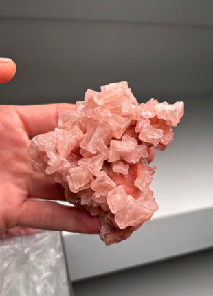 9 Piece Lot ! High Grade Pink Halite from Searles Lake, California