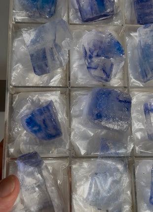 Blue Halite Specimens lot - 12 Pieces !
