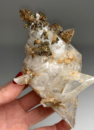 Selenite with Pyrite - From Niccioletta mine, Italy -  Collection # 070