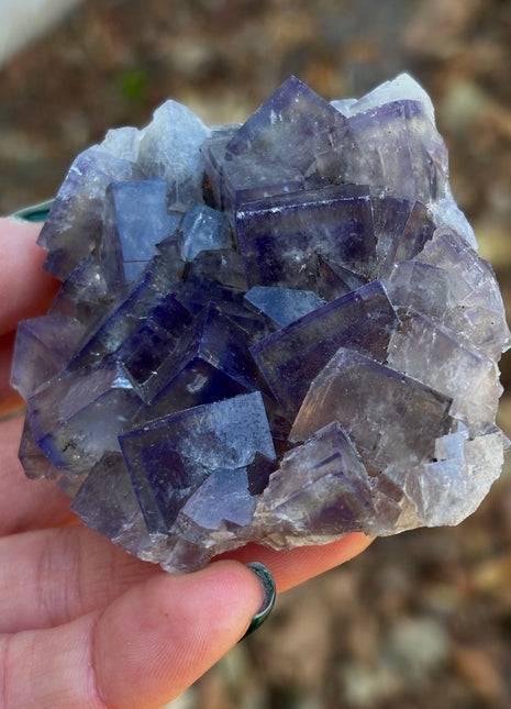 Color Change Fluorite from Weardale, England