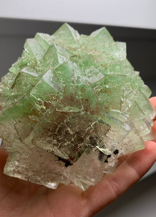 Rare Bicolor Transparent Green Halite - From Lubin mine, Poland