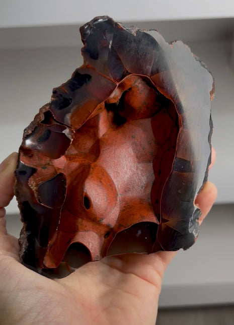 Red Fox Agate Geode from Argentina