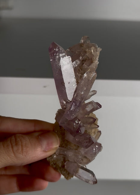 New ! Amethyst - From Veracruz, Mexico