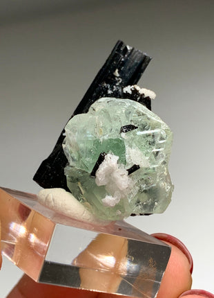 Sweet 💚 Green Fluorite with Black Tourmaline