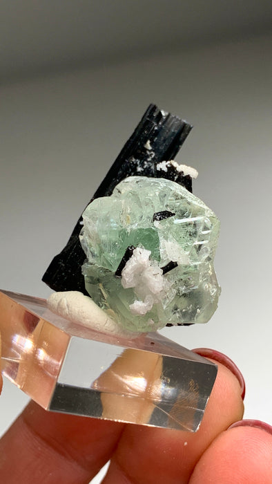 Sweet 💚 Green Fluorite with Black Tourmaline