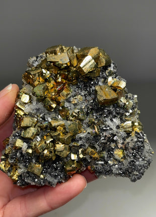 High Grade Pyrite with Quartz