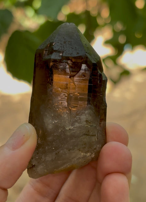Morion Quartz PM1210