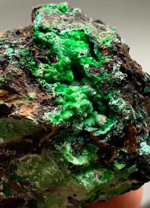 Vibrant Green Conichalcite ! From Spain