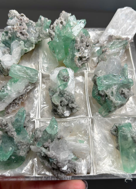 9 Pieces ! High Grade Green Apophyllite with Stilbite, Chalcedony