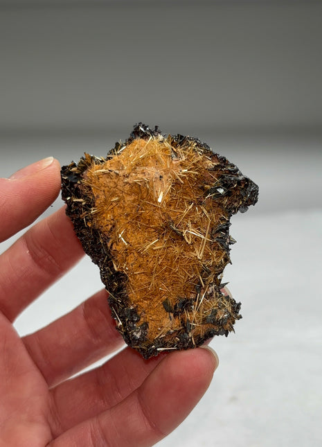 Golden Rutile with Metallic Hematite