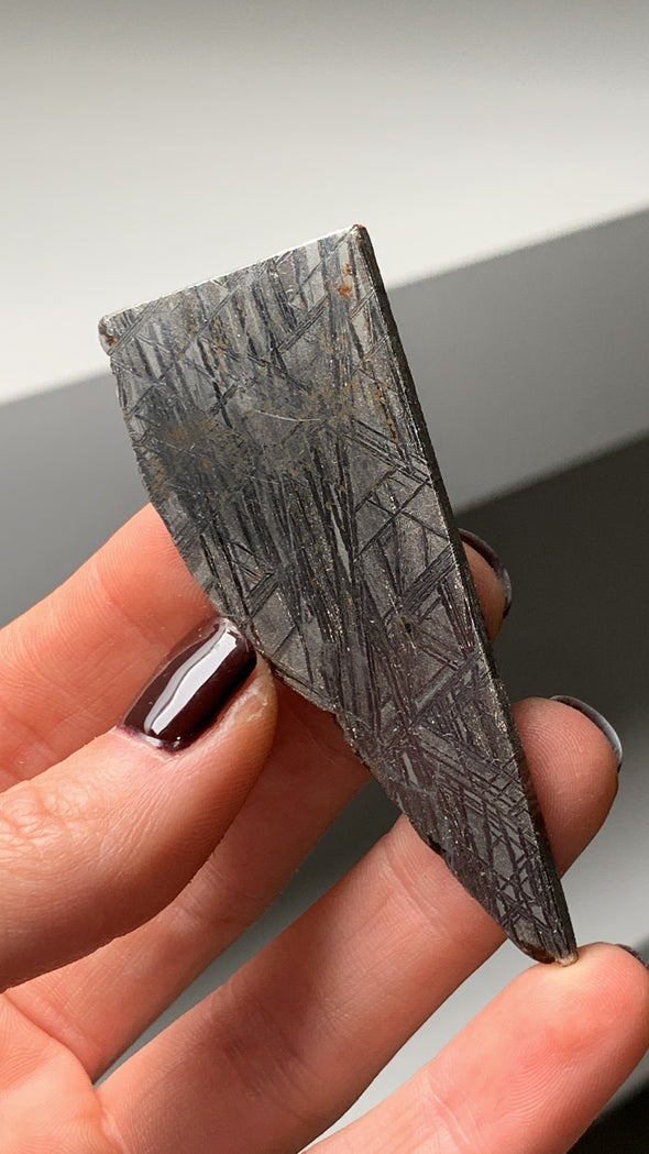 Muonionalusta Meteorite - From Sweden