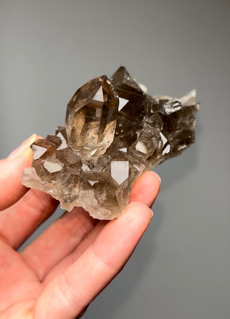 New ! Alpine Smoky Quartz