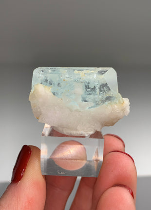 DT Blue Aquamarine on Albite