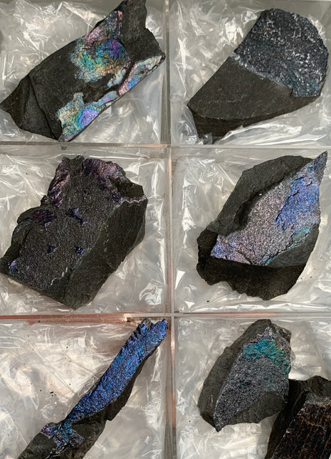 Rare ! Bornite Specimens Lot 🌈 - 7 Pieces