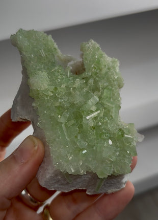 Green Tourmaline Specimen PM1392
