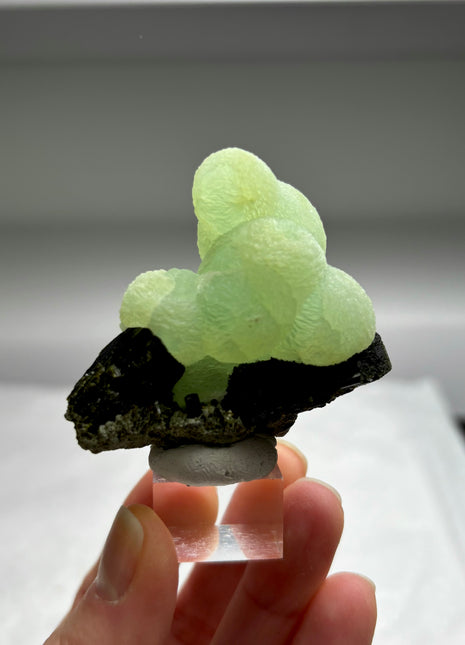 Green Prehnite with Epidote - From Mali