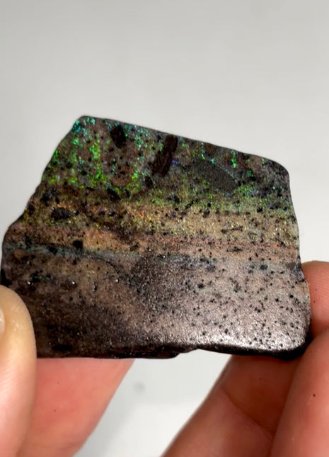 Australian Andamooka Fire Opal🌈