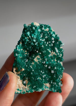 Green Dioptase Specimen PM1630