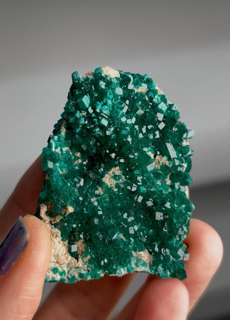 Green Dioptase Specimen PM1630