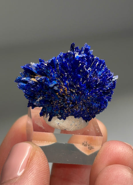 Rich Blue Azurite Specimen