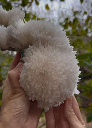 Amazing ! Scolecite Ball with Green Apophyllite Collection # 679