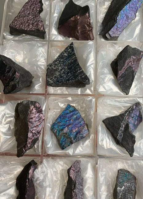 Rare ! Bornite Specimens Lot 🌈 - 12 Pieces