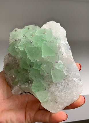 Icy Green Octahedral Fluorite with Quartz # PM0146