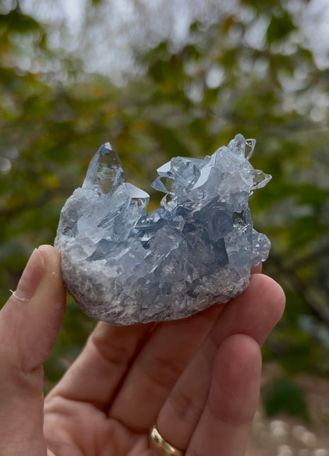 Sky Blue Celestite 💎