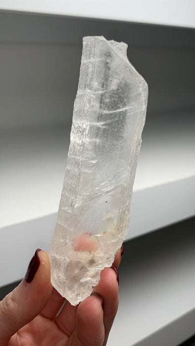 Wow ! Selenite From Mexico