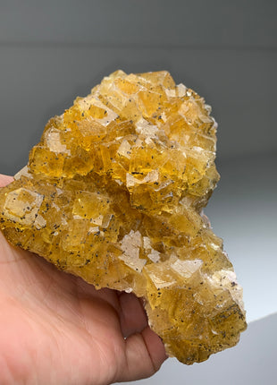 Cubic Yellow Fluorite with Pyrite - From Spain