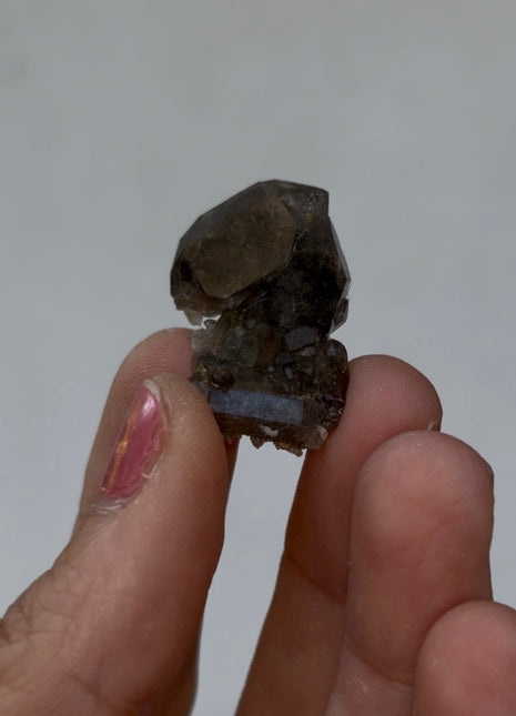 Chlorite Included Quartz - From Chamonix, French Alps