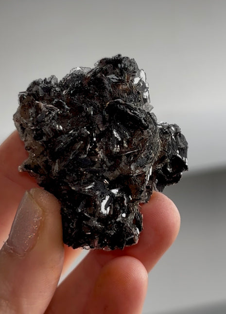 Black Barite Roses