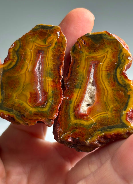 Rare ! Black Sea Agate Pair