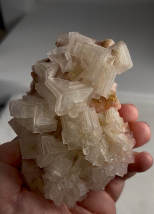 Rare ! Cream color Halite with Pink Trona