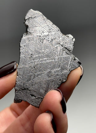 Muonionalusta Meteorite