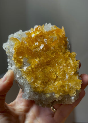 Golden Honey Selenite with Halite from Peru 💎 PM0411