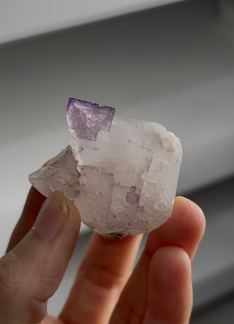 New ! Two Generation Fluorite Specimen PM1266