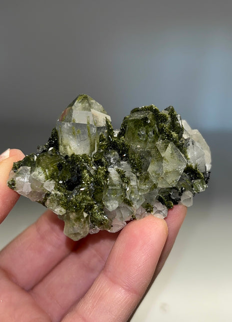 Forest Epidote with Quartz