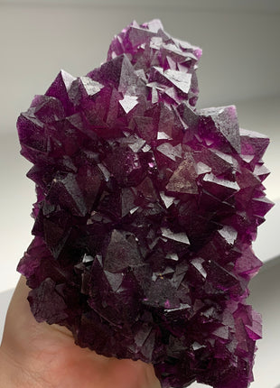 Octahedral Reddish Purple Fluorite *