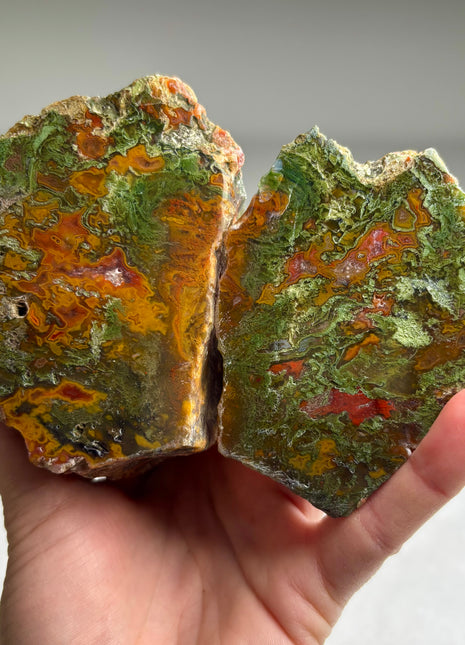 Black Sea Agate Pair*