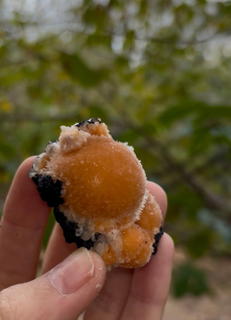 Bright Orange Thomsonite with Mesolite