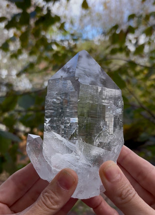 High Grade Himalayan Cathedral Quartz 💎