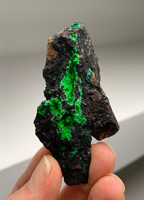 Vibrant Green Conichalcite ! From Spain