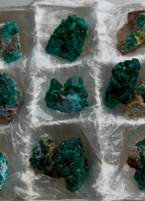 9 Piece Lot !  Green Dioptase Specimens