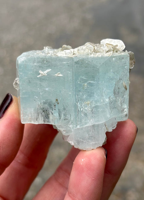 Blue Aquamarine with Muscovite Collection  # 283