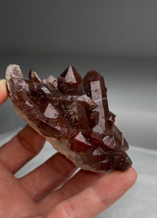 Red Chocolate Quartz