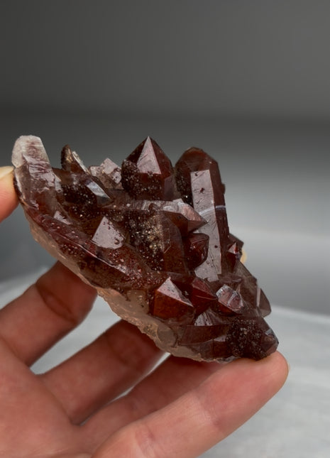 Red Chocolate Quartz