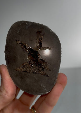 Septarian Barite Geode from France