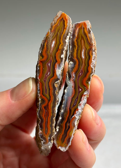 Black Sea Agate Pair*