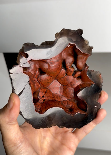 Red Fox Agate Geode from Argentina PM0827